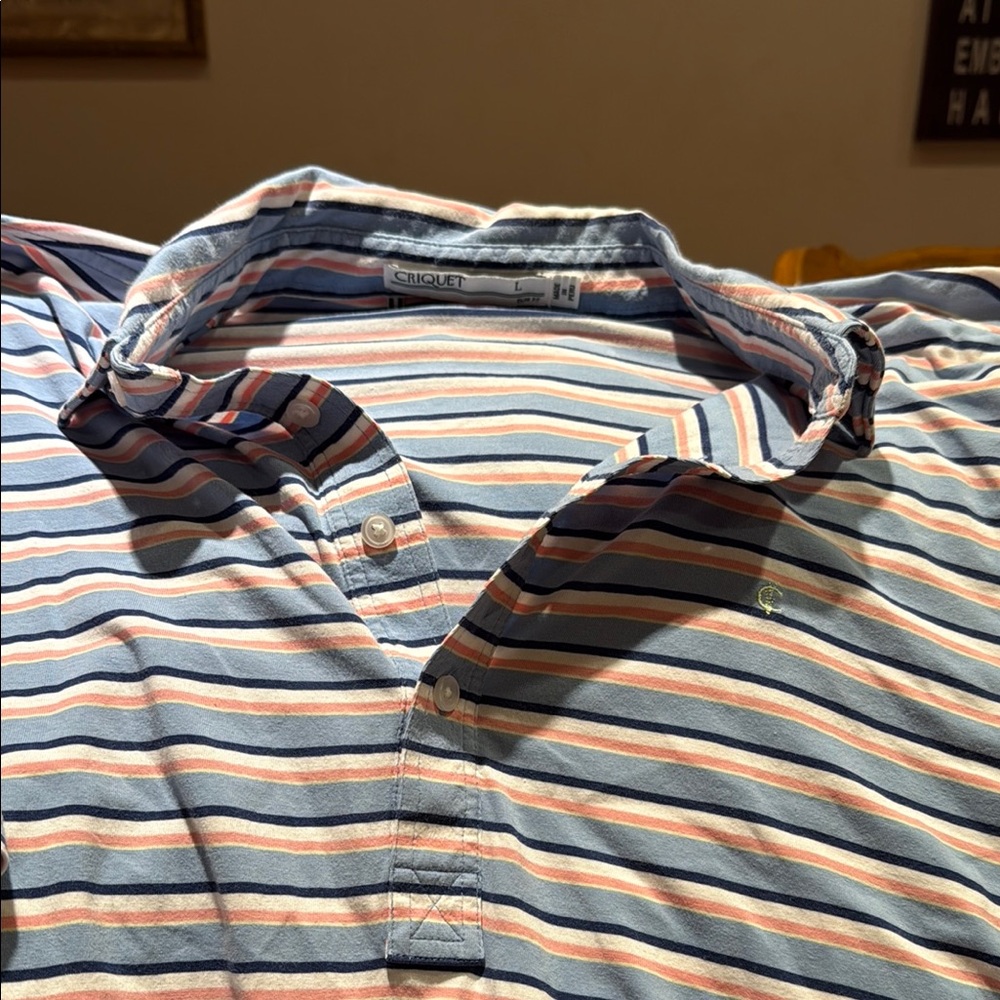 Criquet Men's Multicolor Striped Button Down Shirt